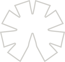 text img icon 1